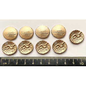 Special Offer - Gold paint Sprayed Dobunni Stater Image